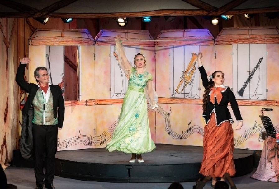 Музыкальный Магазинчик Феи Динь-Динь