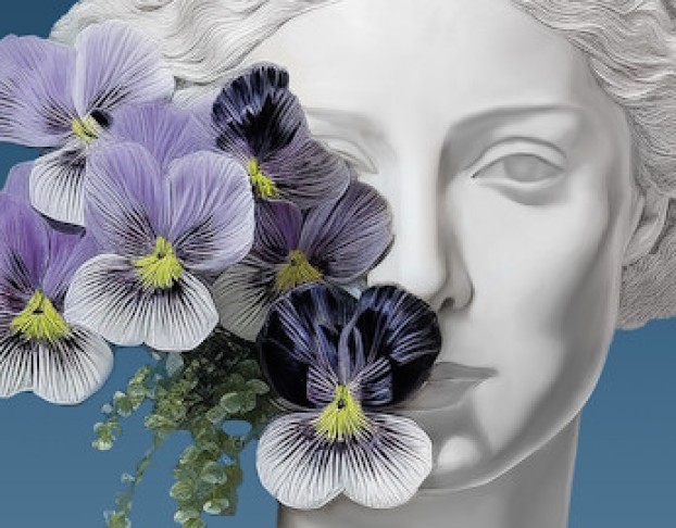 Фиалка Монмартра