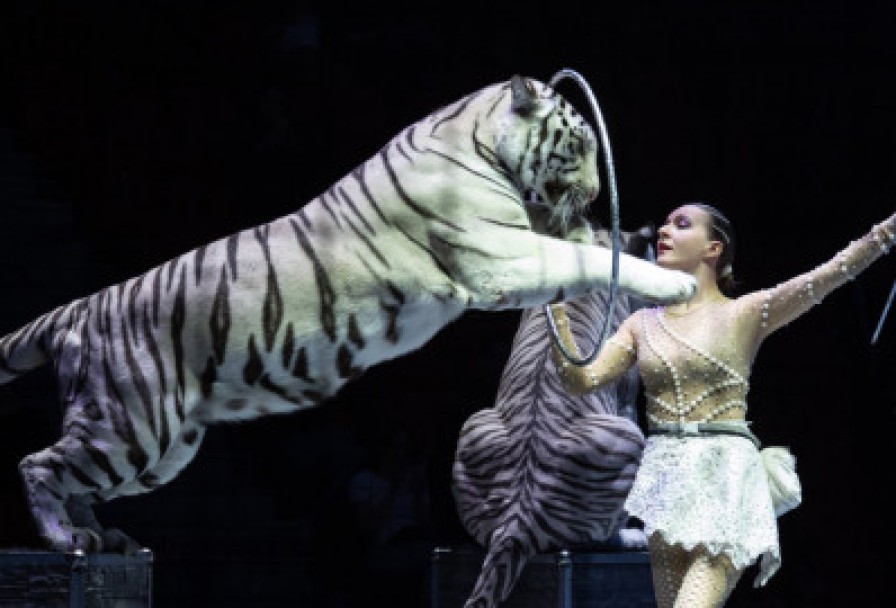 Шоу–вау Шоколадная Фабрика