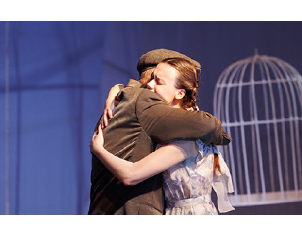 Любовь и Голуби