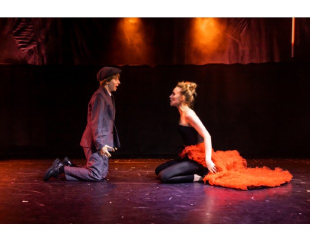 Двенадцатая Ночь, или что Угодно