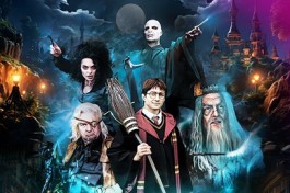 Гарри Поттер Турнир Трёх Волшебников