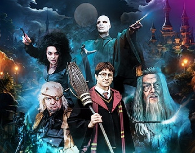 Гарри Поттер Турнир Трёх Волшебников