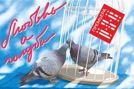 Любовь и Голуби