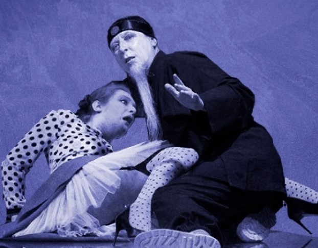 Зойкина Квартира