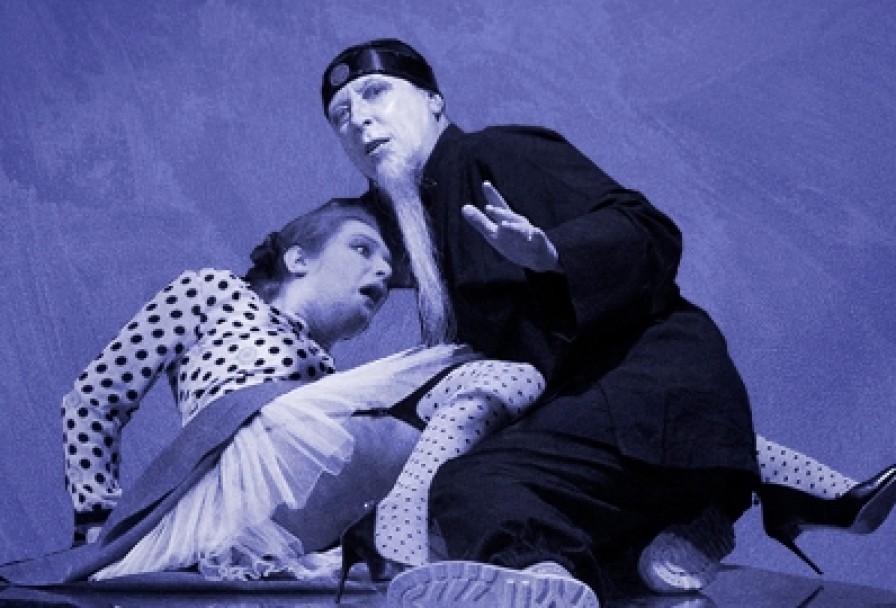 Зойкина Квартира