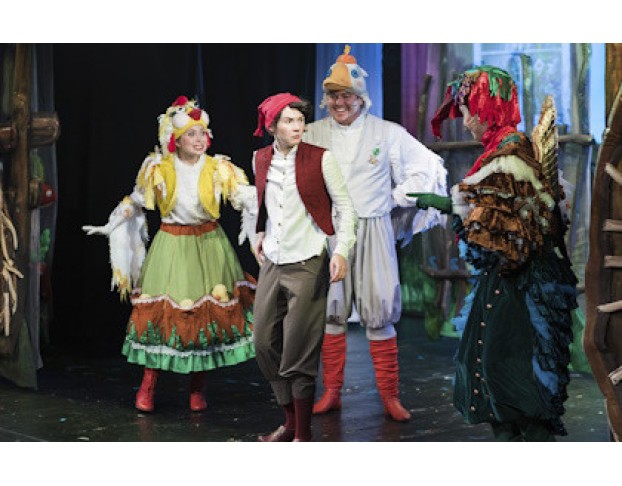 Новогоднее Путешествие Нильса с Дикими Гусями