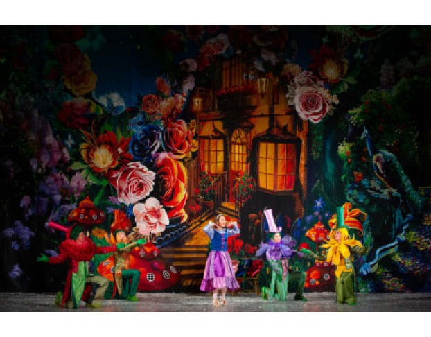 Снежная Королева от Режиссёра Московского Театра Н. Сац в. Меркулова