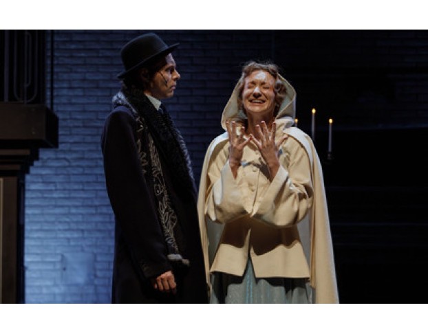 Идеальный Муж