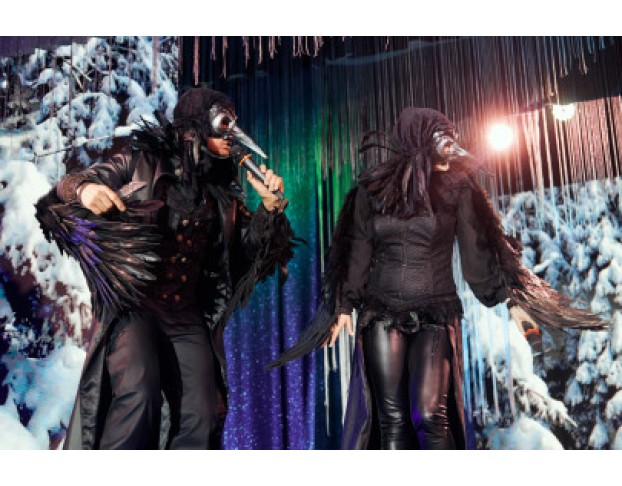 Тайна Снежной Королевы