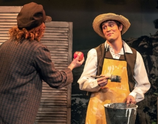 Приключения Тома Сойера