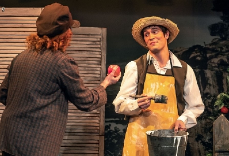 Приключения Тома Сойера