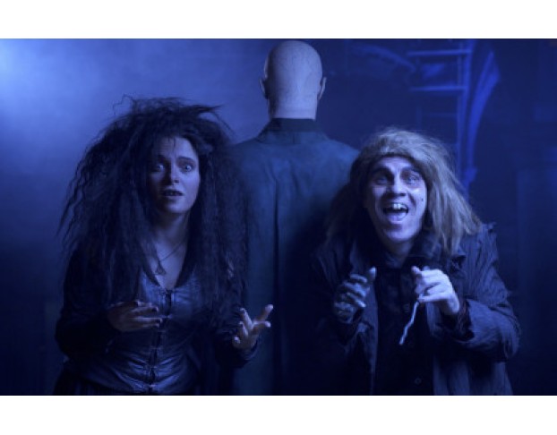 Гарри Поттер Турнир Трёх Волшебников