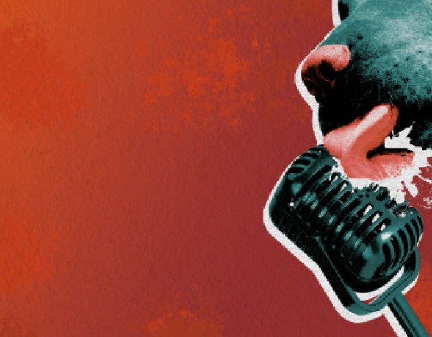 без Поводка