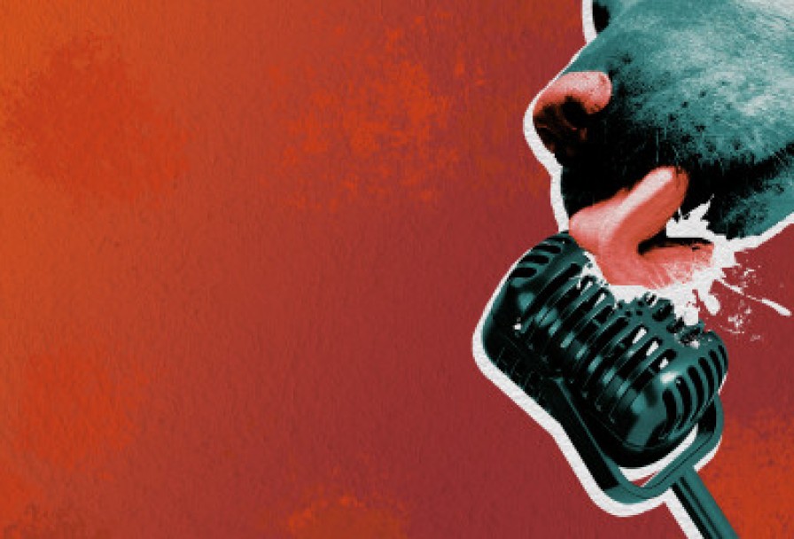 без Поводка