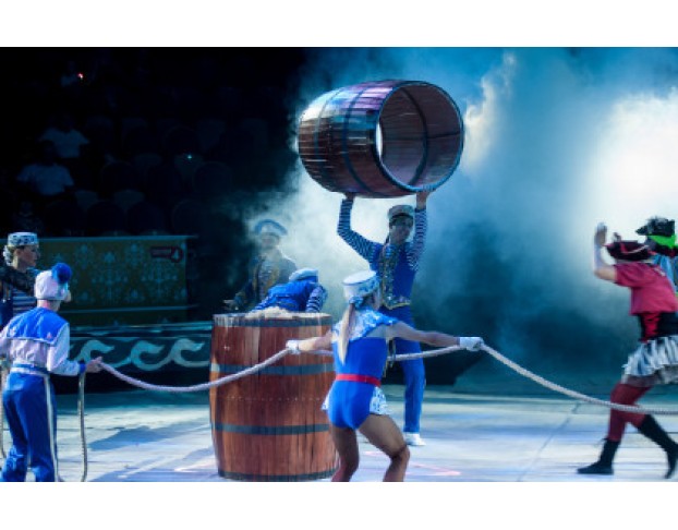 Новогодняя Тайна Пирата