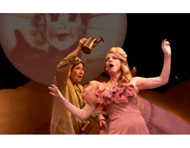 Маленький Принц. Полёт в Одном Действии