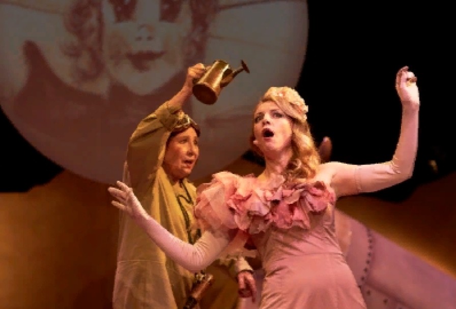 Маленький Принц. Полёт в Одном Действии