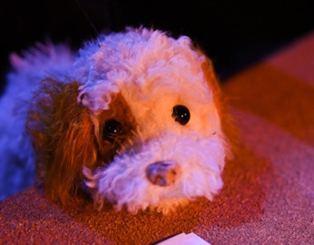 Умная Собачка Соня