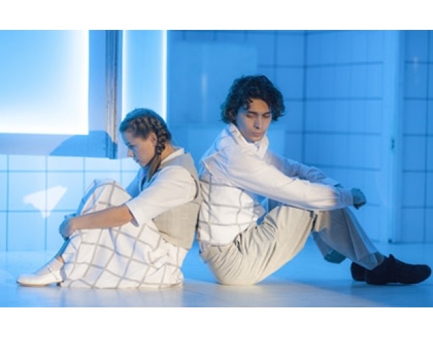 Принцесса и Пьер