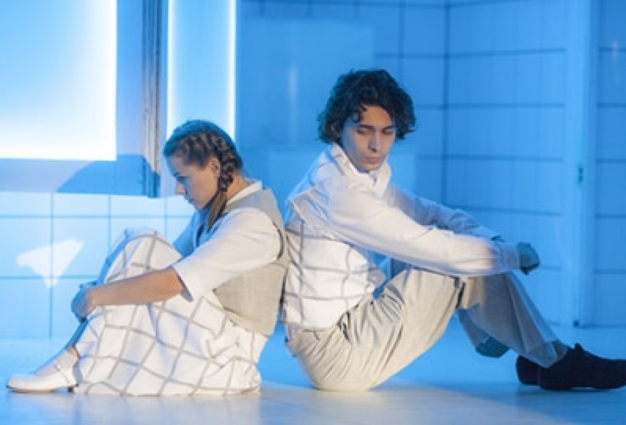 Принцесса и Пьер