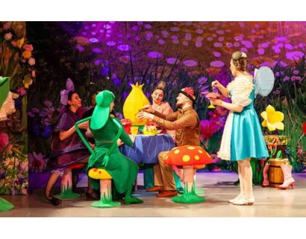 День Рождения Мухи