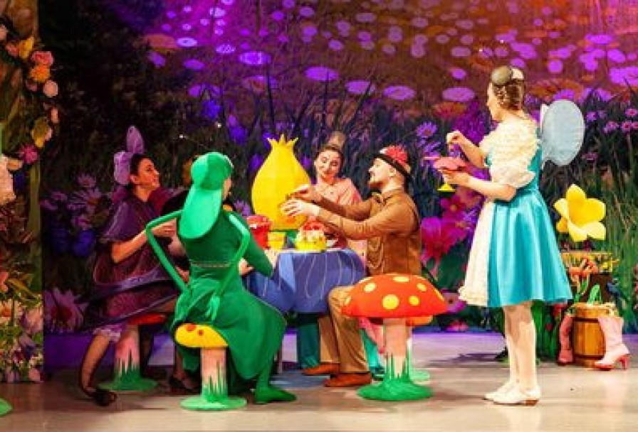 День Рождения Мухи