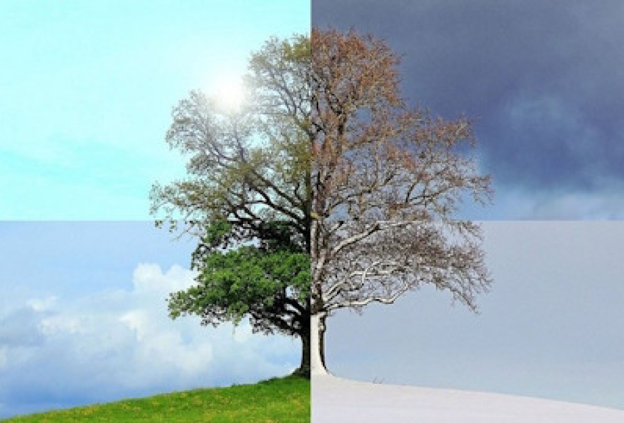 Времена Года. Вивальди. Пьяццолла