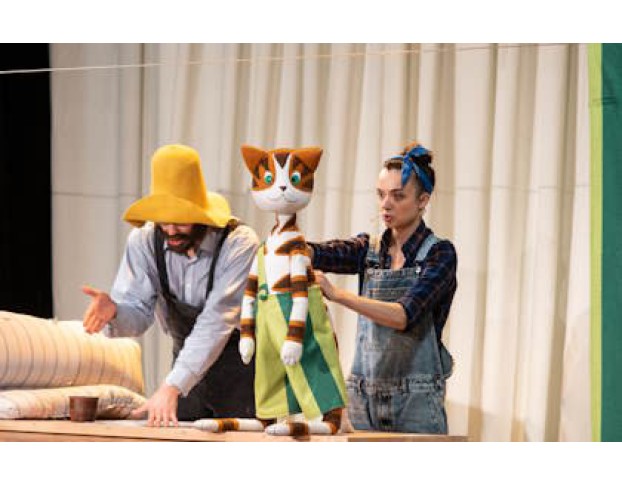 Петсон и Финдус. Театр Комикс