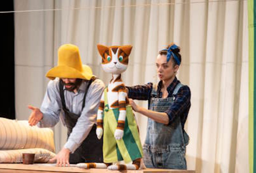 Петсон и Финдус. Театр Комикс