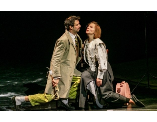 Мадам Бовари