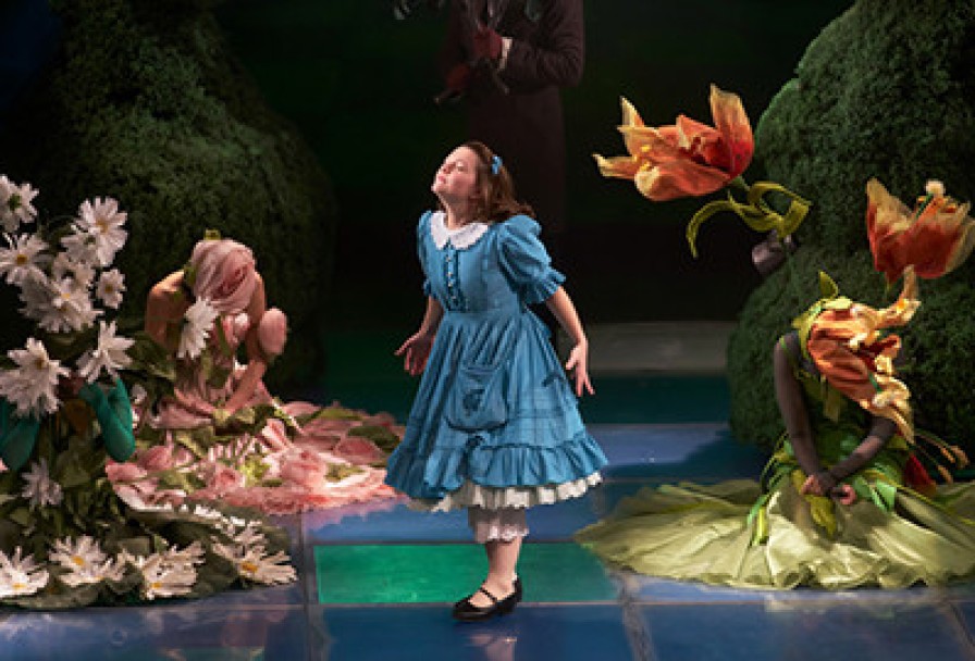 Алиса в Зазеркалье