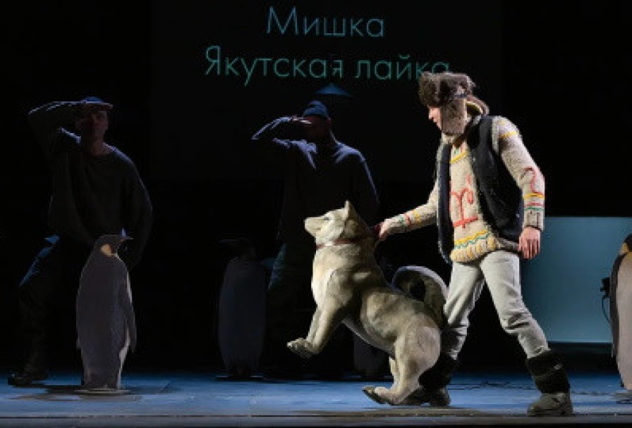 Антарктида