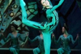 Каменный Цветок