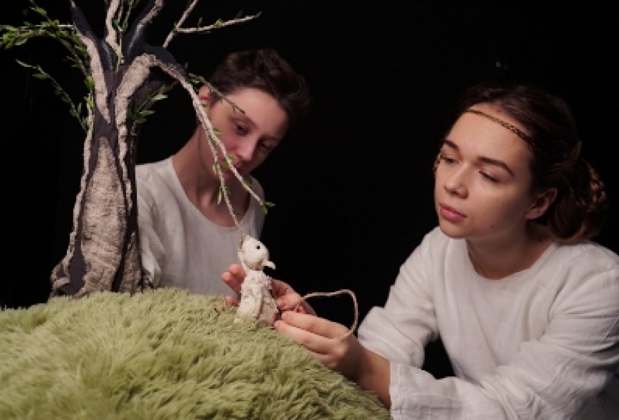 почему Деревья не Ходят