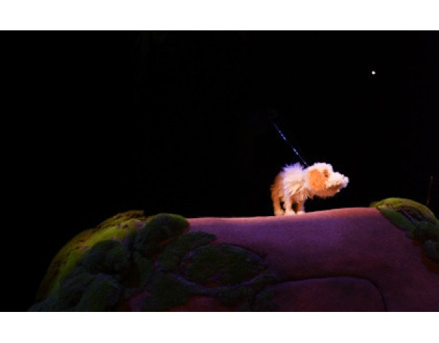 Умная Собачка Соня