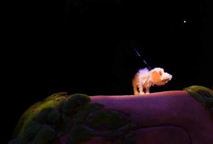 Умная Собачка Соня