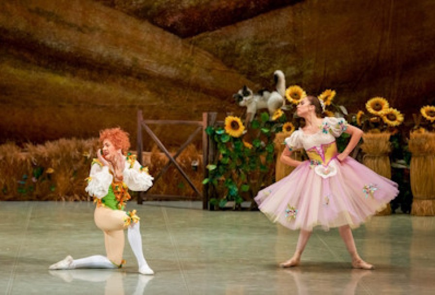 Тщетная Предосторожность