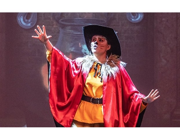 Секрет Кота в Сапогах  Детское Новогоднее Шоу