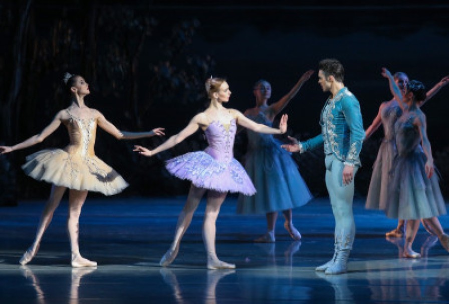 Спящая Красавица