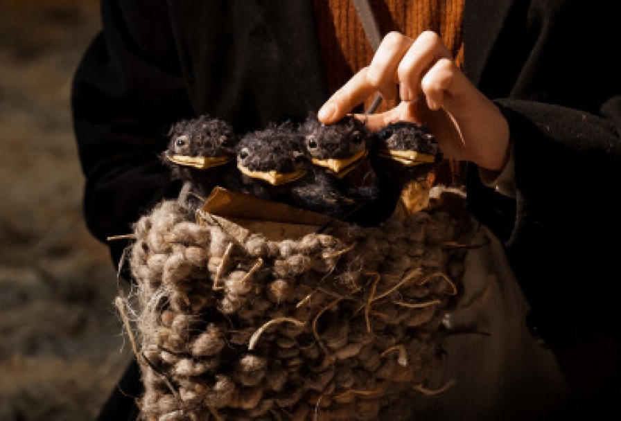 Дневник Ласточки