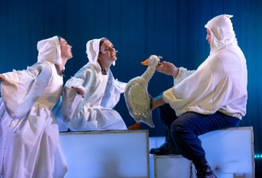 Путешествие Нильса с Дикими Гусями