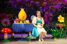 День Рождения Мухи