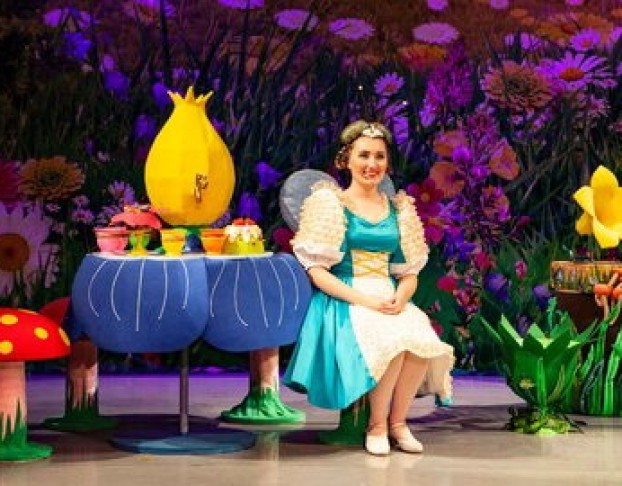 День Рождения Мухи