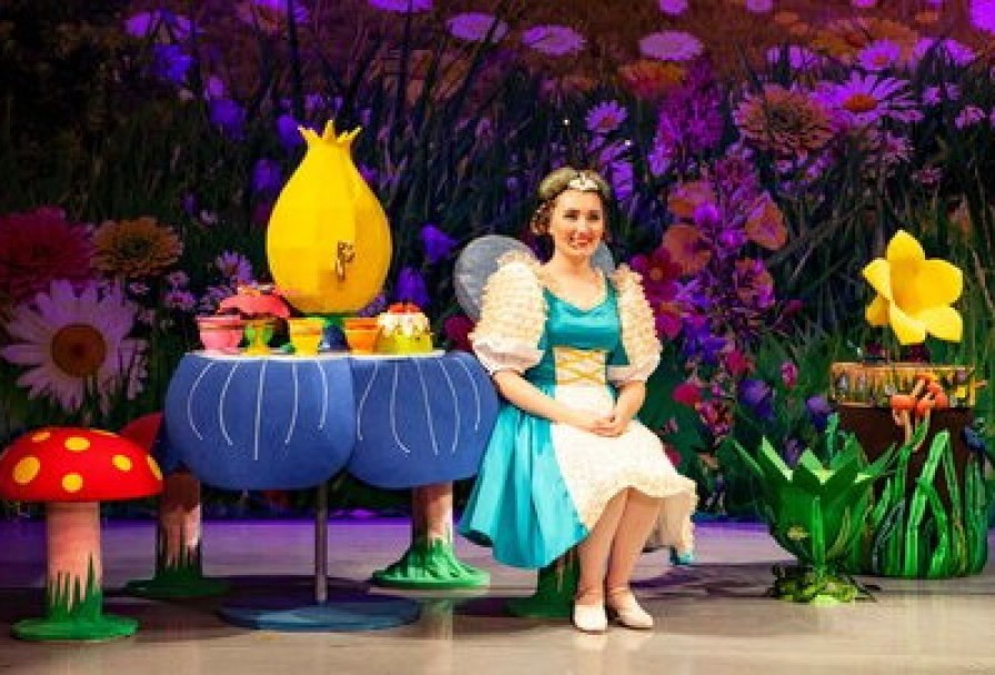 День Рождения Мухи