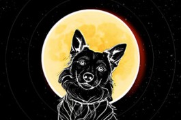 Звёздные Псы