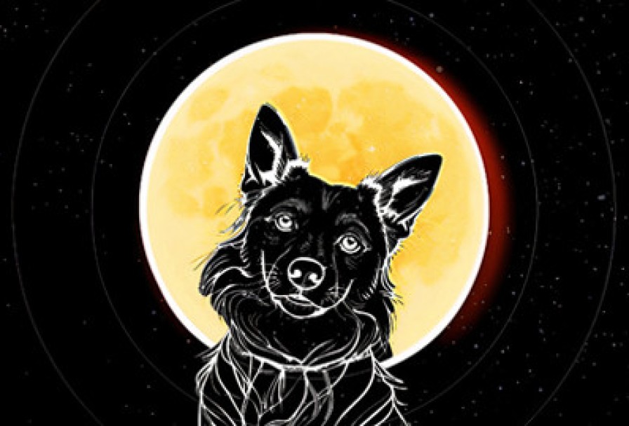 Звёздные Псы