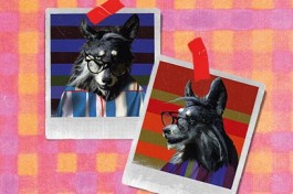 Три Поросёнка. Ой