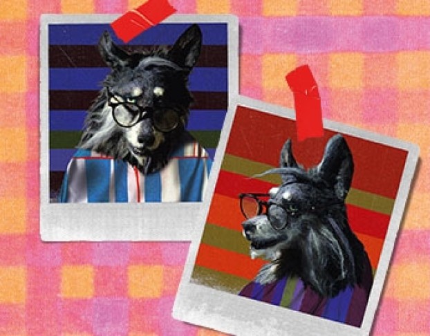 Три Поросёнка. Ой