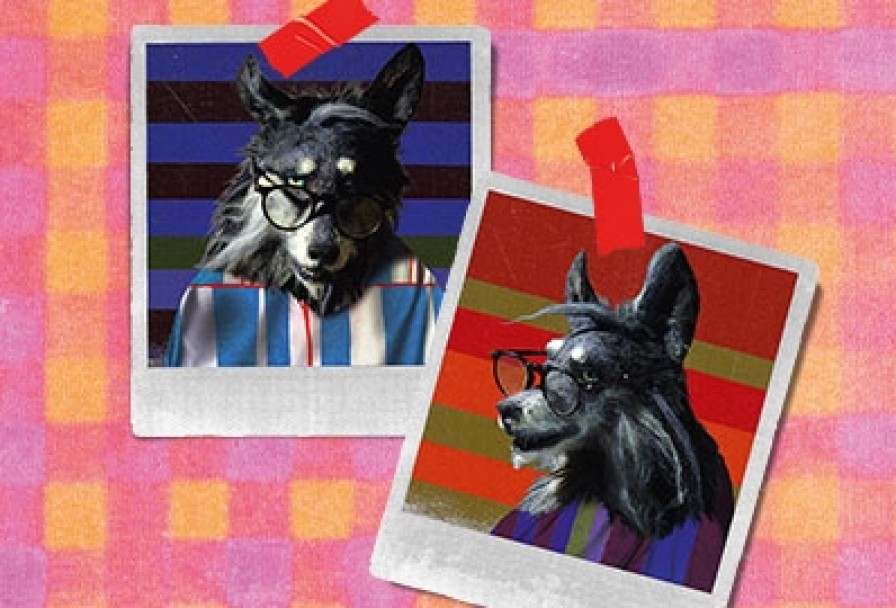 Три Поросёнка. Ой